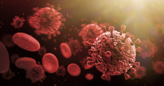 ২৪ ঘণ্টায় করোনা শনাক্ত ৭