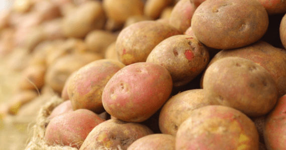 ৭৭ টন আলু দেশে পৌঁছেছে