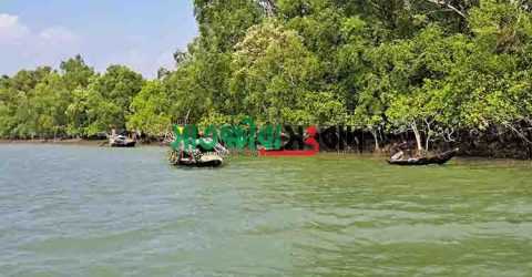 জেলে- বাওয়ালীদের মানবেতর জীবনযাপনের অভিযোগ