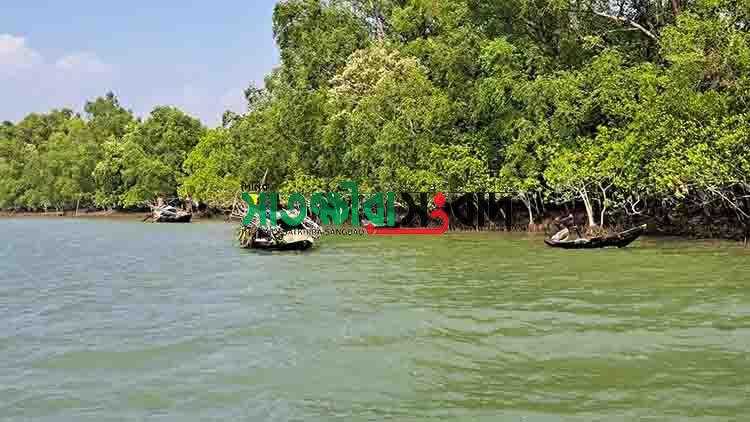 জেলে- বাওয়ালীদের মানবেতর জীবনযাপনের অভিযোগ